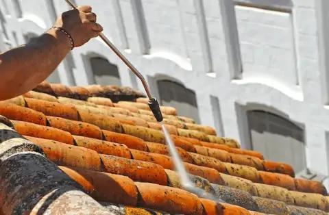 Nettoyage de toitures - Flexanville